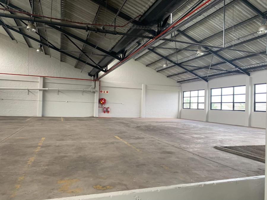 To Let Commercial Property for Rent in Paarden Eiland Western Cape